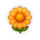 honey royale sunflower symbol icon