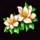 hong bao flowers symbol icon