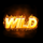 hot and win wild symbol icon