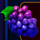 hot bar grapes symbol icon