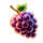 hot blizzard deluxe grapes symbol icon