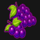 hot bonus joker grapes symbol icon