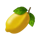 hot coin vip lemon symbol icon
