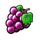 hot coins and fruits 243 grapes symbol icon