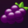 hot fortune wheel grape symbol icon