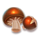 hot pots master mushroom symbol icon