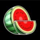 hot star watermelon symbol icon