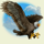 hunters dream 2 eagle symbol icon