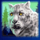 icy wilds cat symbol icon