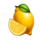 ignis rex lemon symbol icon