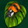 into the jungle ladybug symbol icon