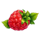 j mania triple jam red raspberry symbol icon
