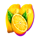 jack potter halloween lemons symbol icon