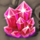 jackpot giant redgem symbol icon