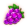 jackpot joker grapes symbol icon