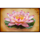 jade flame legacy pink lotus symbol icon