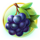 jaguars wheel berries symbol icon