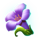 jaguars wheel purple flower symbol icon