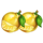 jester bags lemons symbol icon