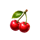 jesters coin tricks cherry symbol icon