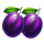 jewel stepper plums symbol icon