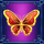 jin yun man man butterfly symbol icon