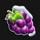 jingle winner grape symbol icon