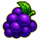 jo blitz grapes symbol icon