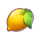 joker 5 lemon symbol icon