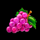 joker chase grapes symbol icon