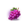 joker coins expanded grape symbol icon