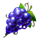 joker fortune blitz 2 grapes symbol icon