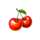 joker rising cherry symbol icon