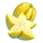joker troupe starfruit symbol icon