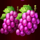 jokers coins hold and win grapes symbol icon