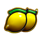 jolly santa lemons symbol icon