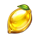 jozi gold soft life deluxe lemon symbol icon