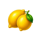 juicy coins lemon symbol icon