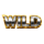 juicy coins wild symbol icon