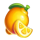 juicy fever lemon symbol icon