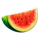 juicy fruits multihold melon symbol icon