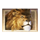 jumanji powerpoints lion symbol icon