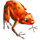 jumping jaguar frog symbol icon