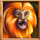 jumping jaguar monkey symbol icon