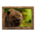 jungle spirit call of the wild powerpoints bear symbol icon