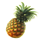 jungle break pineapple symbol icon