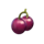 jungle delight cherry symbol icon