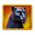 jungle legend black panther symbol icon