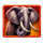 jungle legend elephant symbol icon