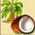 jungle monkeys coconut symbol icon
